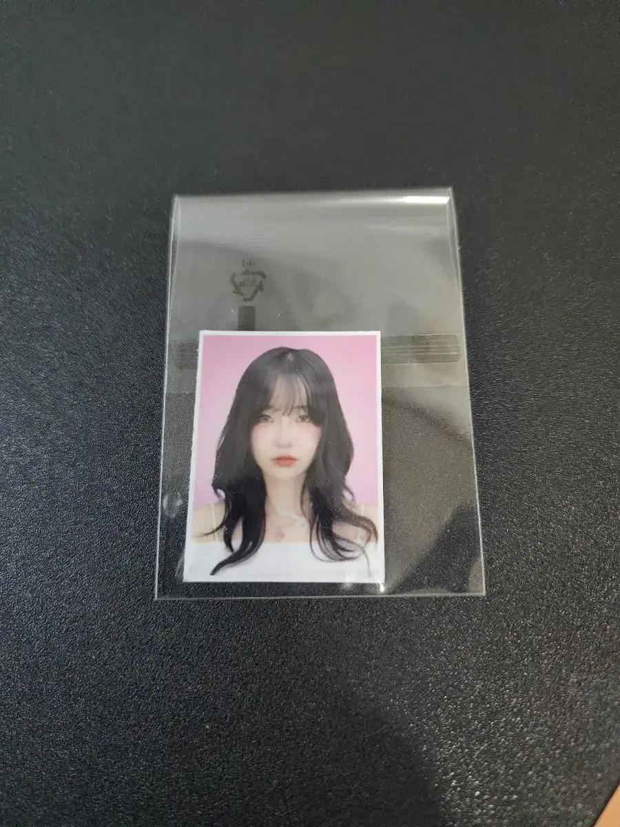 QWER 케이팝스토어 3차 당첨자 특전 증명사진 마젠타 | 브랜드 중고